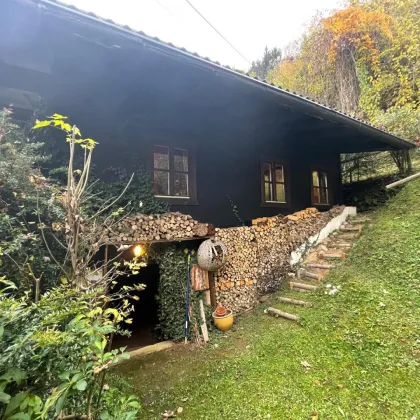 ABSOLUTE ALLEINLAGE -  TRAUMHAFTES HAUS im WALD zu VERKAUFEN - Bild 3