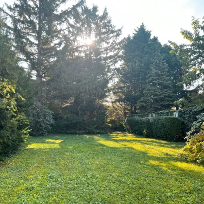 Ein-/ Zweifamilienhaus mit Garten im Ortszentrum - 20 km südlich von Wien - Bild 3