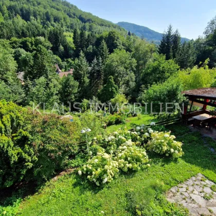 Wachau: großes Baugrundstück mit Bachlauf - herrlicher Ausblick - Bild 3