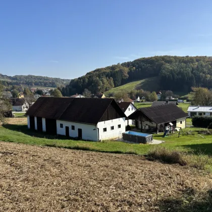 ** BEZAUBERNDES UNIKAT ** Neustift b. GS !! Charismatisches Bauernhaus mit ca. 1,45 Hektar Eigengrund in Grünruhelage !! - Bild 3