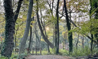 ABENDSONNE, PRIVATSTRASSE, IDEALE GRÖSSE UND BEBAUBARKEIT /// tolles Baugrundstück mit perfekter Infrastruktur nahe Schlosspark