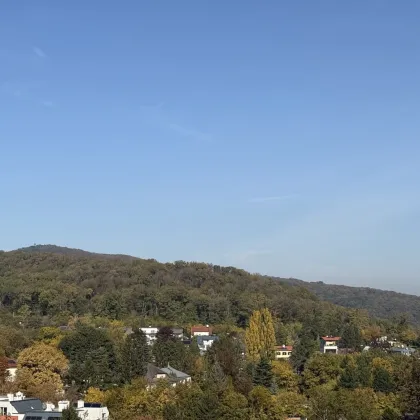 Moderne Villa am Gießhübl mit großem Garten und Blick ins Grüne - Bild 3