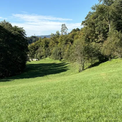 Landwirtschaftliche Nutzfläche mit Blick am Wörthersee! - Bild 2