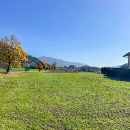 SONNIGES BAUGRUNDSTÜCK MIT BERGPANORAMA IN OBERMILLSTATT! - Bild 2