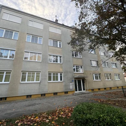 Zentrale 3-Zimmer-Wohnung mit großer Loggia in unmittelbarer Nähe vom Neufelder See - Bild 3