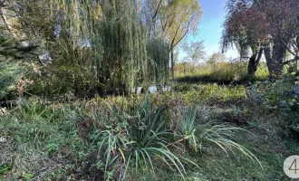 Tolles Grundstück in Biedermannsdorf