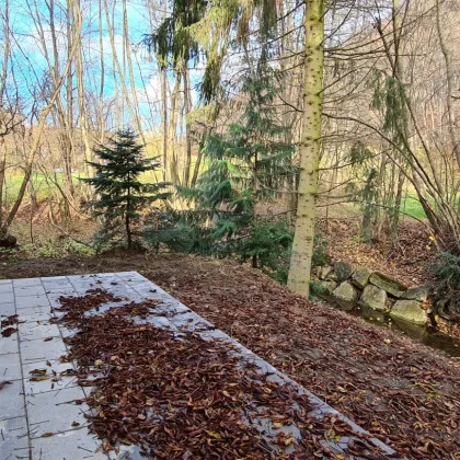 ERSTBEZUGS-DOPPELHAUSHÄLFTE DIREKT AM WASSER MIT SÜD-GARTEN! - Bild 2