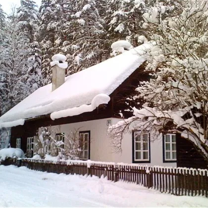 Idyllisches Einfamilienhaus im romantischen Klostertal | Nur 1h von Wien - Bild 2