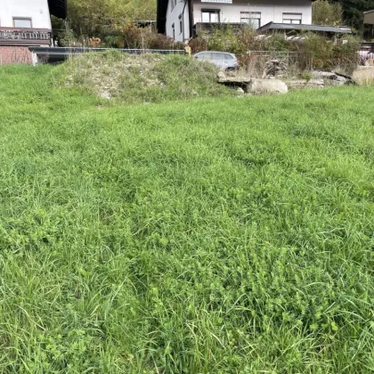 Der Sonne entgegen-Grundstück in Seebach/St. Leonhard - Bild 3