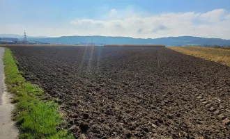 Bauland Betriebsgebiet in Pöchlarn zu verkaufen