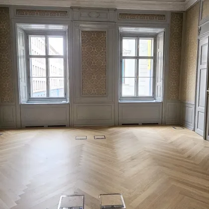 Großzügige Bürofläche im Palais Trauttmansdorff ca 182 m2 - Bild 3