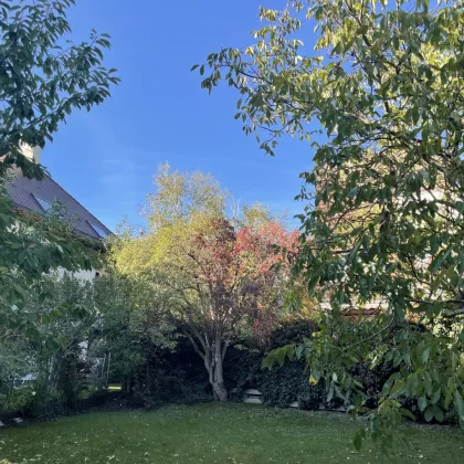 Zauberhaftes Garten-Grundstück mit kleinem Einfamilienhaus in Grünruhelage in Mauer - Bild 3