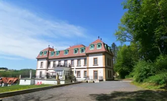 Altbau-Villa in idylischer Lage am Park, Loftartige 3ZI mit Grünblick, PP