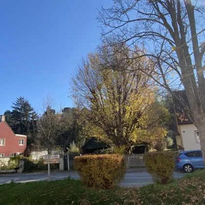 EBEN & SONNIG & ZENTRUMSLAGE inkl. Baubewilligung für ein Traumhaus - Bild 2