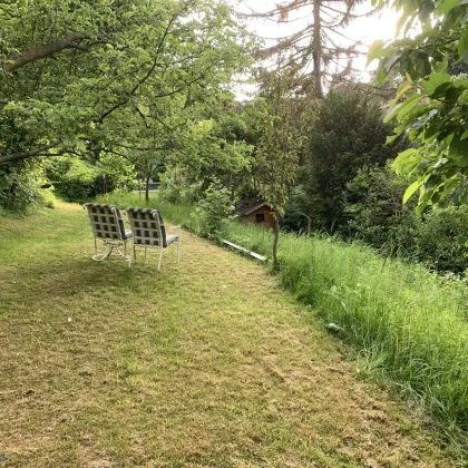 Rarität- Hübsches Einfamilienhaus mit idyllischem Garten in absoluter Grünruhelage! - Bild 3