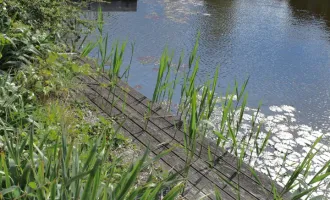 VERKAUFT: Der Traum vom eigenen Steg in den See wird hier wahr