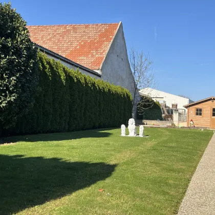 Loipersbach Topgepflegtes sehr gemütliches Einfamilienhaus-1231 - Bild 2