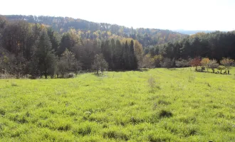 Litzelsdorf: Grundstücke in ruhiger Aussichtslage