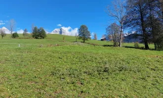 Wunderschönes Baugrundstück in erhöhter Lage von Maria Alm (ca. 503 qm)