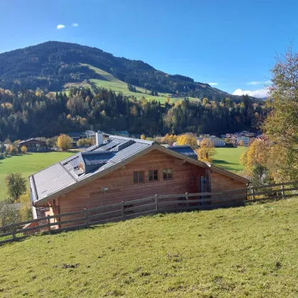 Wunderschönes Baugrundstück in erhöhter Lage von Maria Alm (ca. 503 qm) - Bild 3