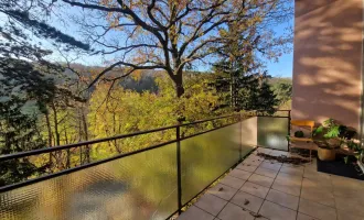 PÖTZLEINSDORFER PARK - LOFTARTIGE ARCHITEKTENWOHNUNG - TRAUMHAFTE LAGE - GARTENNUTZUNG - GRÜNBLICK - 5 ZIMMER + grosser BALKON