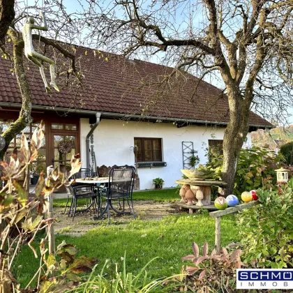 Gemütliches Wohnen mit Gartenoase in Pichl bei Wels - Ein Schmuckstück am Land! - Bild 3