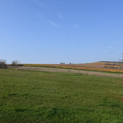 Naturnahes Wohnen: Einfamilienhaus in den Retzer Weinbergen mit Garten - Bild 3