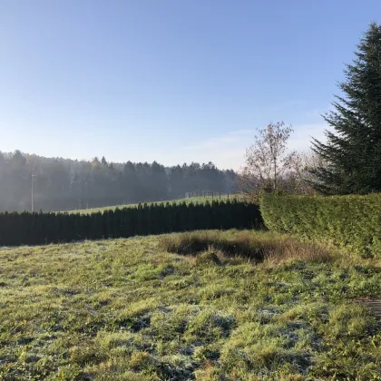 WOHNEN IM GRÜNEN *** Einfamilienhaus SONNENLAGE 1069 m² Gfl. LANDIDYLLE 8044 WEINITZEN *** - Bild 2