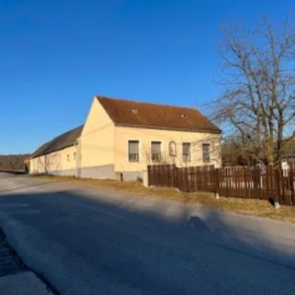 Traditionelles Bauernhaus mit großzügigem Wirtschaftgebäude und Innenhof- 5800m² Grund - Bild 2