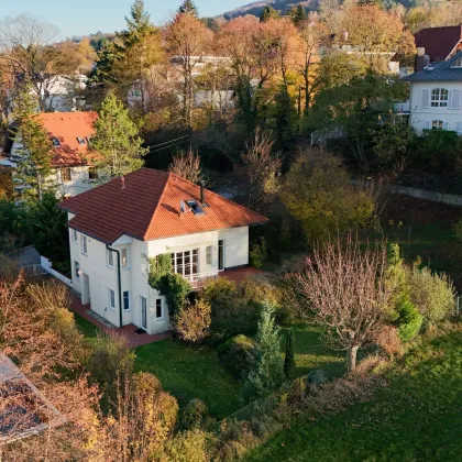 WEIDLING - Großzügiges Einfamilienhaus mit Weinbergblick in traumhafter Ruhelage - Bild 3