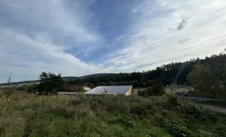 unbebautes Grundstück mit südlichem Fernblick zu verkaufen