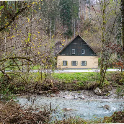 Idyllische Alleinlage im Wandergebiet Zell-Koschuta. - Bild 3