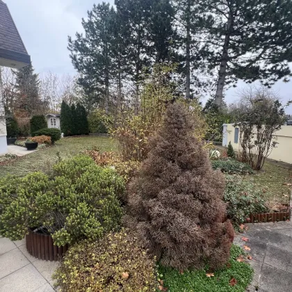 Weigelsdorf sehr gediegenes hochwertig gebautes EFH  zum Sofortbezug-1124 - Bild 2