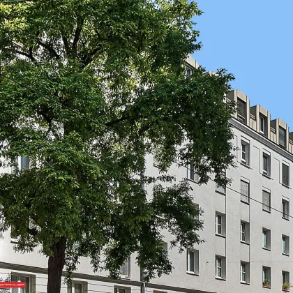 GROSSE NEUGASSE - MODERNE NEUBAUWOHNUNGEN - ab 32 - 61 m² WFL - RENOVIERTES ERSTKLASSIGES HAUS - GRÜNBLICK - TIEFGARAGE - FREIE MIETZINSBILDUNG - 2 LIFTE - Bild 2