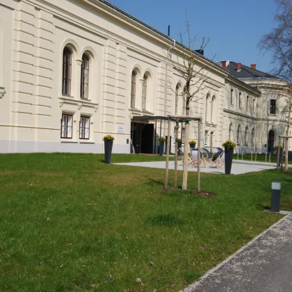 Das besondere Wohnerlebnis für Anspruchsvolle in zentraler Welser Lage! XL-Galeriewohnung mit Terrasse verbindet Moderne mit Altbaucharme! - Bild 3