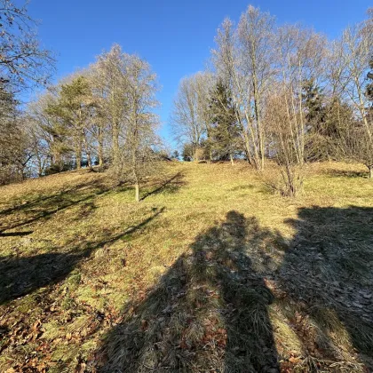 Baugrund inkl. Bewilligung für Wohnbauprojekt mit 4 Doppelhaushälften ! - Bild 2