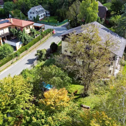 Familienparadies mit vielseitigem Wohn- und Arbeitsbereich – 230 m² Einfamilienhaus mit großem Garten und Praxisfläche - Bild 2