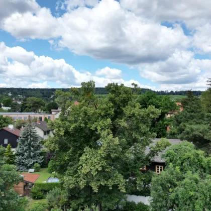 Exklusives Wohnen in Wien-Mauer: Traumhafte Wohnung mit großzügiger Dachterrasse und Balkon | ZELLMANN IMMOBILIEN - Bild 2