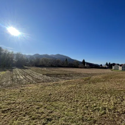 Großzügiges Grundstück an der Südsteirischen Weinstraße mit wunderschönem Ausblick – unverbaubar - Bild 3