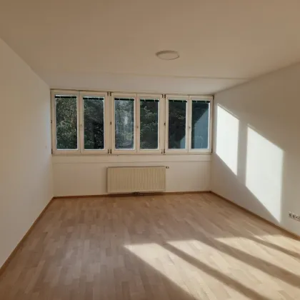 Charmante und helle 2-Zimmerwohnung mit Grünblick - ideal für Singles und Paare - Bild 2