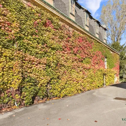 Wohnen mit Tennisplatz - Exklusive Wohnung im historischen Schloss mit Parkblick - Bild 3