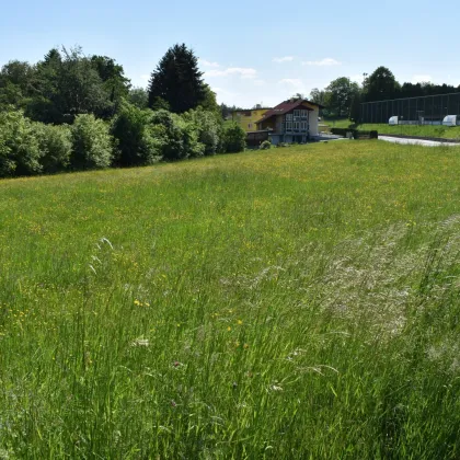 Wunderbares Bauträgergrundstück in Bestlage Nähe 8301 Laßnitzhöhe - Bild 3