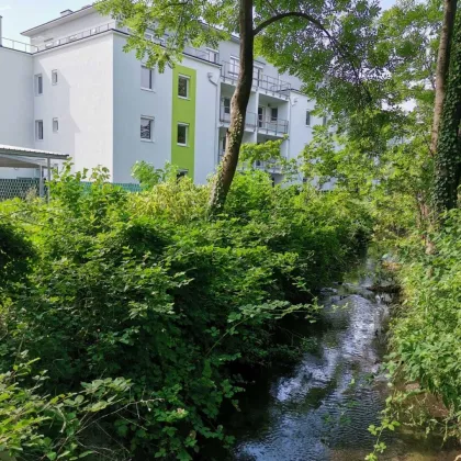 Teilmöblierte 3-Zimmer Dachgeschosswohnung mit großer Terrasse - UNTERWALTERSDORF - Bild 2