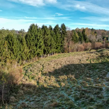 Wunderschönes Grundstück am Stadtrand in Sackgassenlage zu verkaufen! - Bild 2