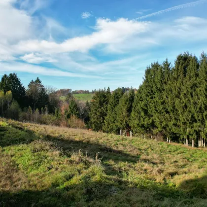 Hervorragendes Grundstück unweit der Stadtgrenze zu verkaufen! - Bild 2