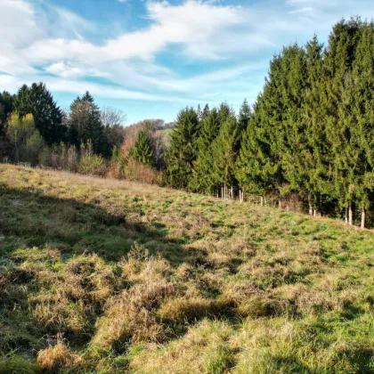 Hervorragendes Grundstück unweit der Stadtgrenze zu verkaufen! - Bild 3