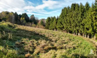 Top Preis-Leistung! Baugrund am Stadtrand zu verkaufen!