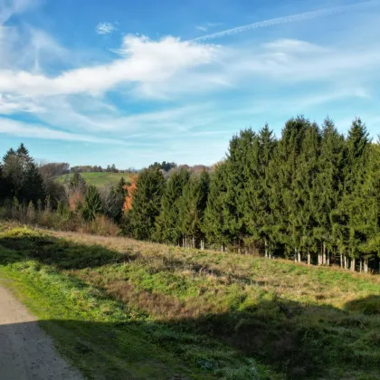 Top Preis-Leistung! Baugrund am Stadtrand zu verkaufen! - Bild 2