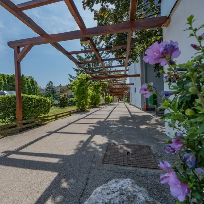 NEU in Wiener Neudorf++Südseitige Dachgeschosswohnung mit Loggia-Ihr sonniges Zuhause++Wohnen im Grünen ++++ Ideal für junge Familien und Paare++ - Bild 2