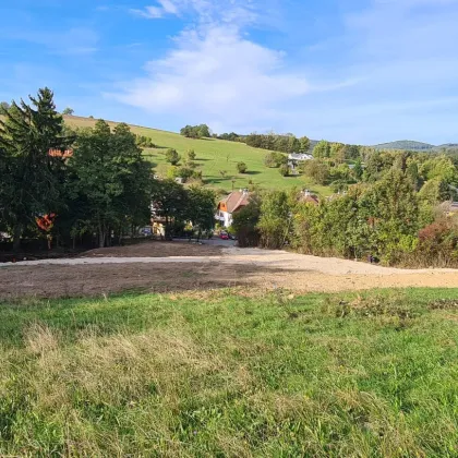 OPTIMALE GELEGENHEIT! GRUNDSTÜCK MIT 14.641m², DAVON 2.359m² BAULAND IM IRENENTAL! - Bild 2